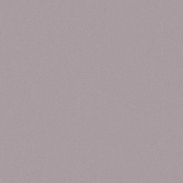 Zaitun # 536 Plum by Maxwell Fabric Pure & Simple Xvi 100% ORGANIC COTTON INDIA 55" - Fabric Carolina -