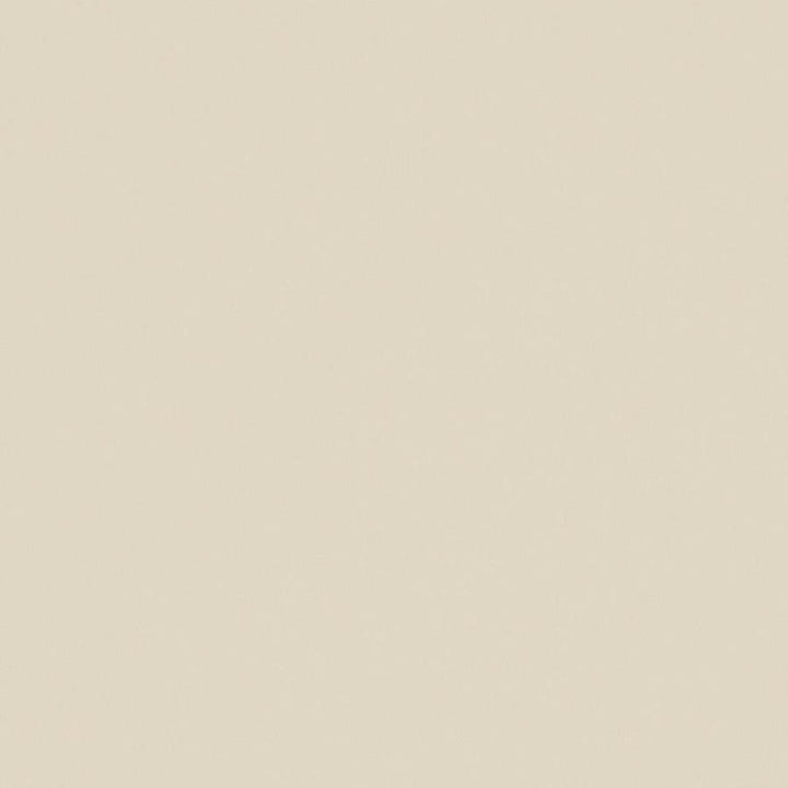 Zaitun # 541 Putty by Maxwell Fabric Pure & Simple Xvi 100% ORGANIC COTTON INDIA 55" - Fabric Carolina -