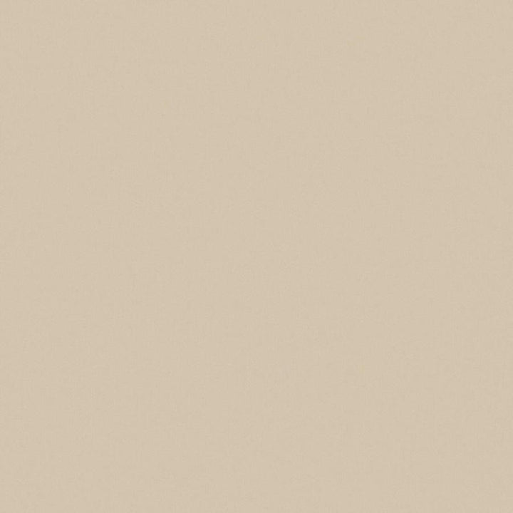 Zaitun # 542 Sand by Maxwell Fabric Pure & Simple Xvi 100% ORGANIC COTTON INDIA 55" - Fabric Carolina -