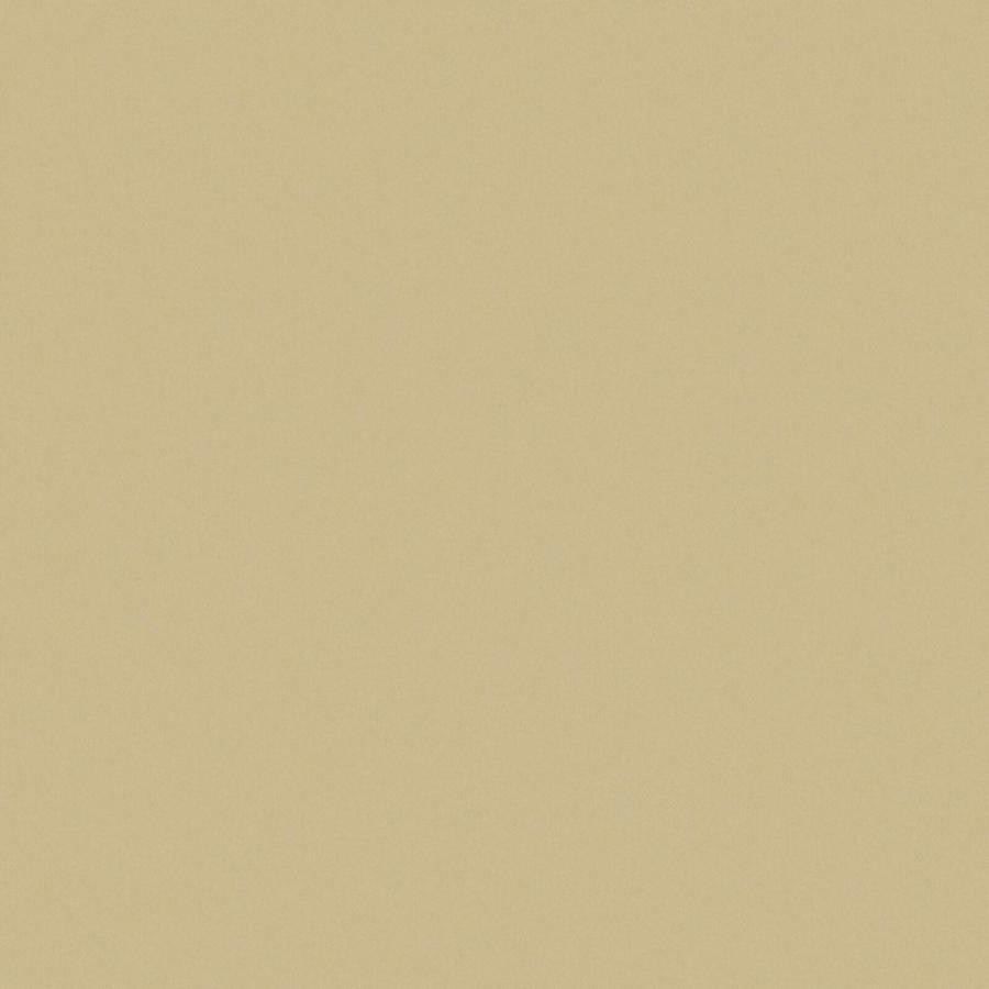Zaitun # 543 Hay by Maxwell Designer Fabric Pure & Simple Xvi 100% ORGANIC COTTON INDIA 55" - Swanky Fabrics -