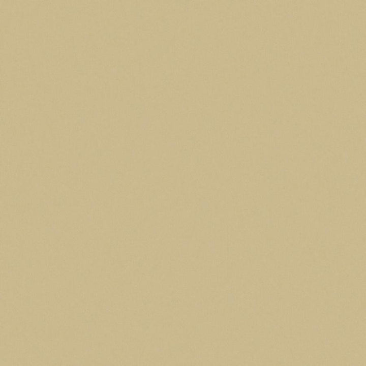 Zaitun # 543 Hay by Maxwell Fabric Pure & Simple Xvi 100% ORGANIC COTTON INDIA 55" - Fabric Carolina -