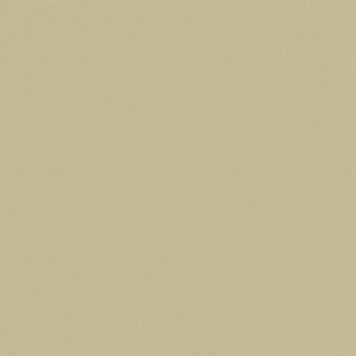 Zaitun # 544 Seagrass by Maxwell Fabric Pure & Simple Xvi 100% ORGANIC COTTON INDIA 55" - Fabric Carolina -