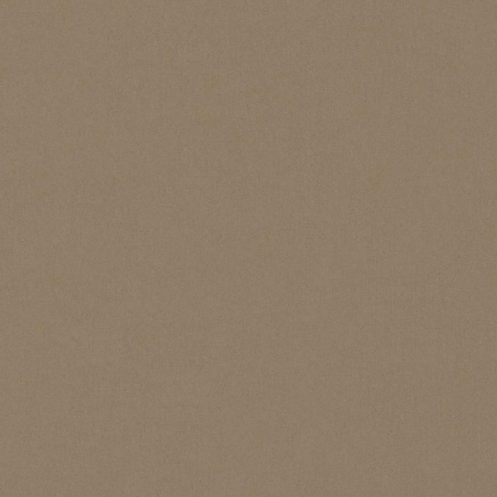 Zaitun # 545 Pinecone by Maxwell Fabric Pure & Simple Xvi 100% ORGANIC COTTON INDIA 55" - Fabric Carolina -