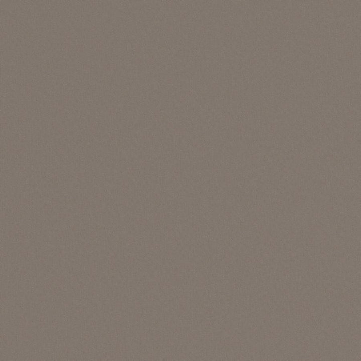 Zaitun # 547 Slate by Maxwell Fabric Pure & Simple Xvi 100% ORGANIC COTTON INDIA 55" - Fabric Carolina -