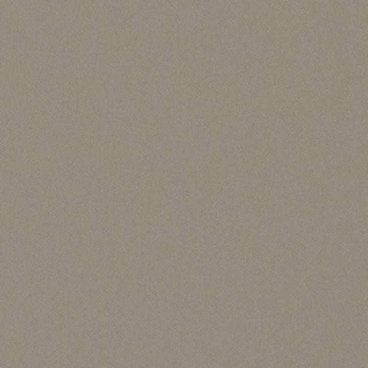 Zaitun # 548 Pewter by Maxwell Fabric Pure & Simple Xvi 100% ORGANIC COTTON INDIA 55" - Fabric Carolina -