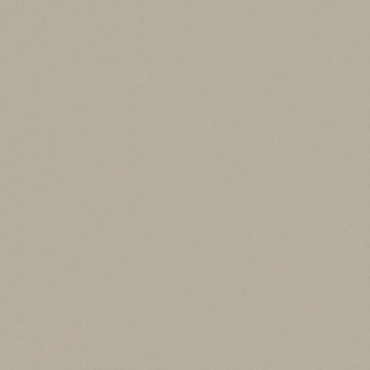 Zaitun # 549 Cement by Maxwell Designer Fabric Pure & Simple Xvi 100% ORGANIC COTTON INDIA 55" - Swanky Fabrics -