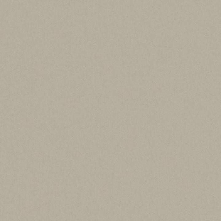 Zaitun # 549 Cement by Maxwell Fabric Pure & Simple Xvi 100% ORGANIC COTTON INDIA 55" - Fabric Carolina -