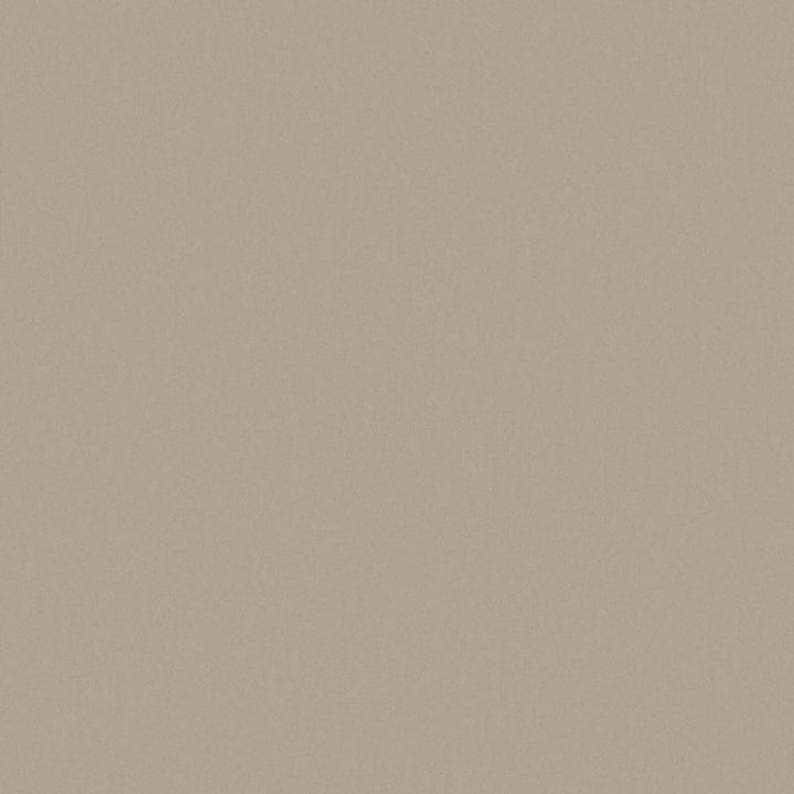 Zaitun # 550 Funghi by Maxwell Fabric Pure & Simple Xvi 100% ORGANIC COTTON INDIA 55" - Fabric Carolina -