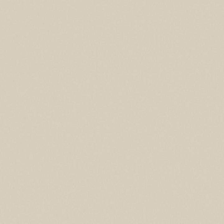 Zaitun # 552 Rattan by Maxwell Fabric Pure & Simple Xvi 100% ORGANIC COTTON INDIA 55" - Fabric Carolina -