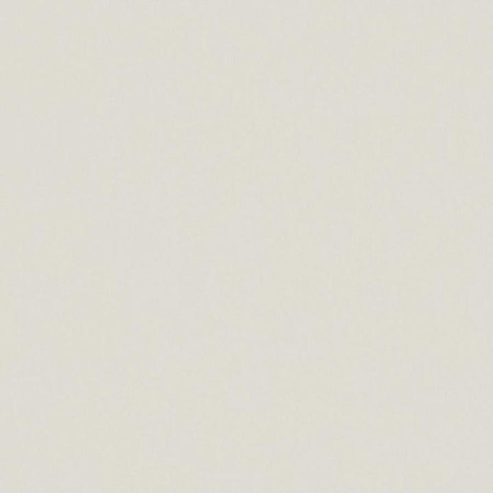 Zaitun # 553 Marzipan by Maxwell Fabric Pure & Simple Xvi 100% ORGANIC COTTON INDIA 55" - Fabric Carolina -