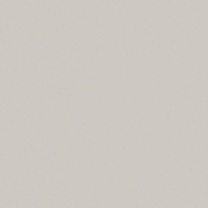 Zaitun # 554 Fresco by Maxwell Fabric Pure & Simple Xvi 100% ORGANIC COTTON INDIA 55" - Fabric Carolina -