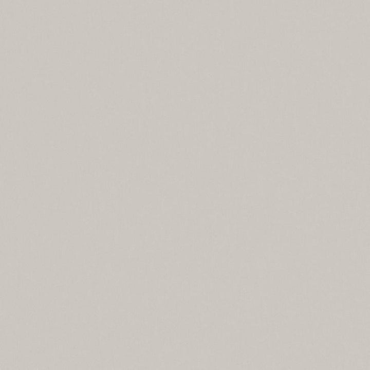 Zaitun # 555 Limestone by Maxwell Fabric Pure & Simple Xvi 100% ORGANIC COTTON INDIA 55" - Fabric Carolina -