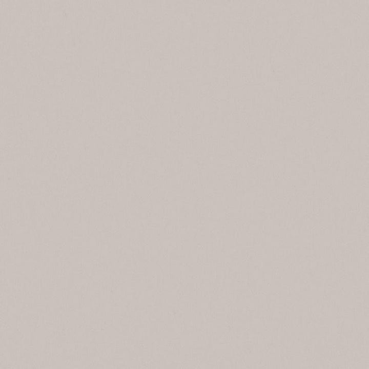 Zaitun # 556 Griffin by Maxwell Designer Fabric Pure & Simple Xvi 100% ORGANIC COTTON INDIA 55" - Swanky Fabrics -