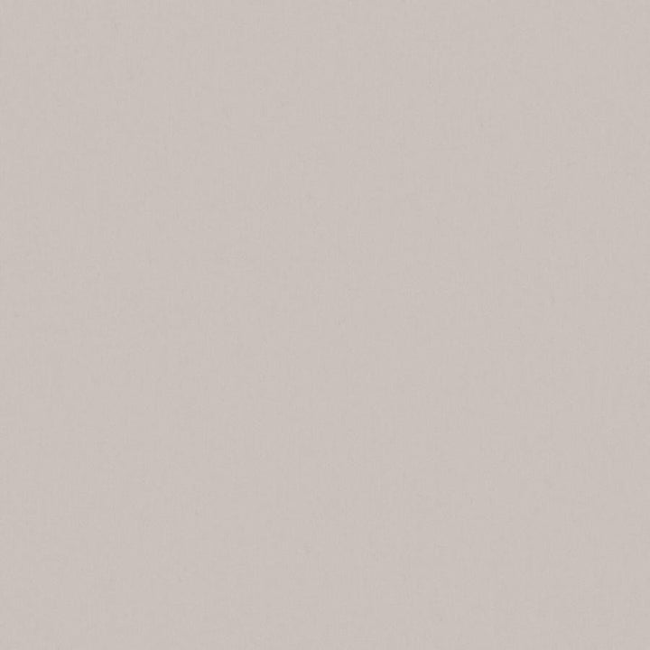 Zaitun # 556 Griffin by Maxwell Fabric Pure & Simple Xvi 100% ORGANIC COTTON INDIA 55" - Fabric Carolina -