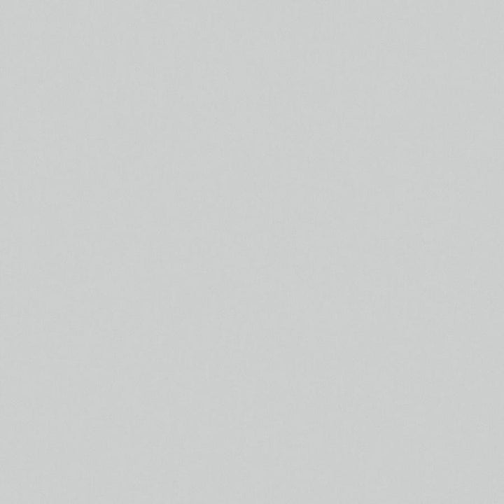 Zaitun # 557 Silver by Maxwell Fabric Pure & Simple Xvi 100% ORGANIC COTTON INDIA 55" - Fabric Carolina -