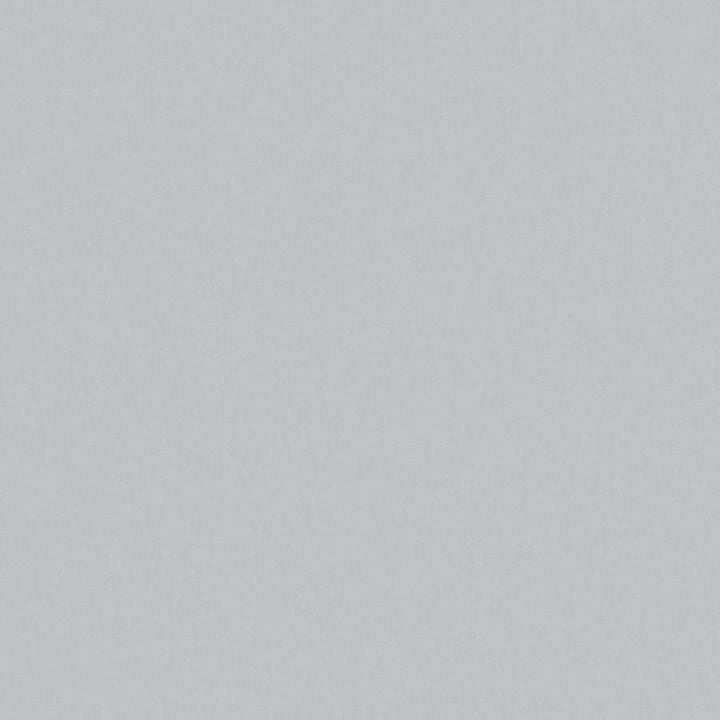 Zaitun # 558 Cloud by Maxwell Fabric Pure & Simple Xvi 100% ORGANIC COTTON INDIA 55" - Fabric Carolina -