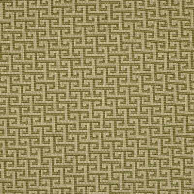 Orientation Avocado by Kravet Design Fabric