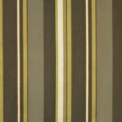 Lineseries Artichoke by Kravet Design Fabric