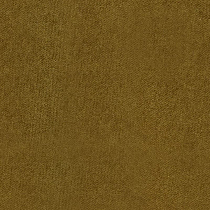 29431.6 by Kravet Design Designer Fabric - Cotton 74%, Polyester 26% USA Heavy H" -, V: - 54 inches  - Swanky Fabrics -  Kravet Design