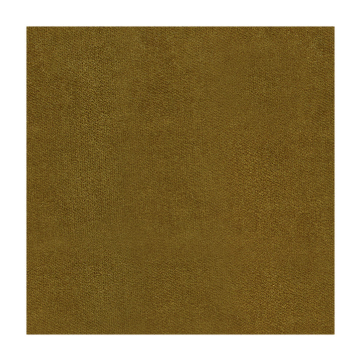 29431-6 by Kravet Design Fabric COTTON - 74%;POLYESTER - 26% United States HEAVY Horizontal: 0 and Vertical: 0 54 - Fabric Carolina -