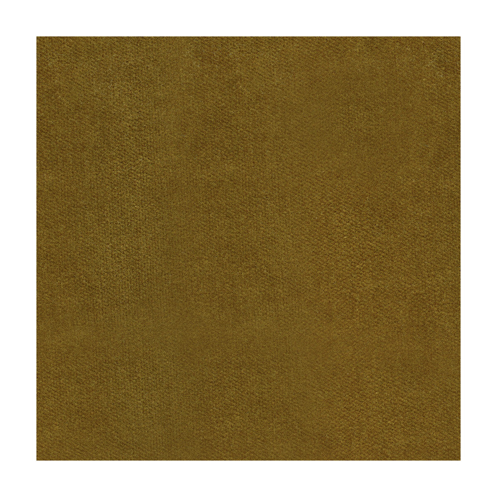 Kravet Design 29431-6 by Kravet Design Fabric Kravet Design Fabric Kravet Design 29431-6Fabric COTTON - 74%;POLYESTER - 26% United States </p><p>Repeat: H: 0, V: 0 54 - Fabric Carolina -