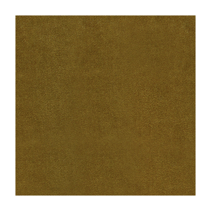 Kravet Design 29431-6 by Kravet Design Fabric Kravet Design Fabric Kravet Design 29431-6Fabric COTTON - 74%;POLYESTER - 26% United States </p><p>Repeat: H: 0, V: 0 54 - Fabric Carolina -