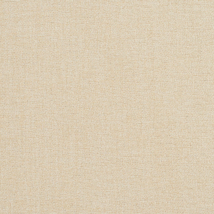 2944 Ivory by Charlotte Fabric Ring Book Page #3A 100% Woven Polyester Asia Exceeds 100,000 Wyzenbeek Rubs (Heavy Duty) No Repeat 54 Inches - Fabric Carolina -