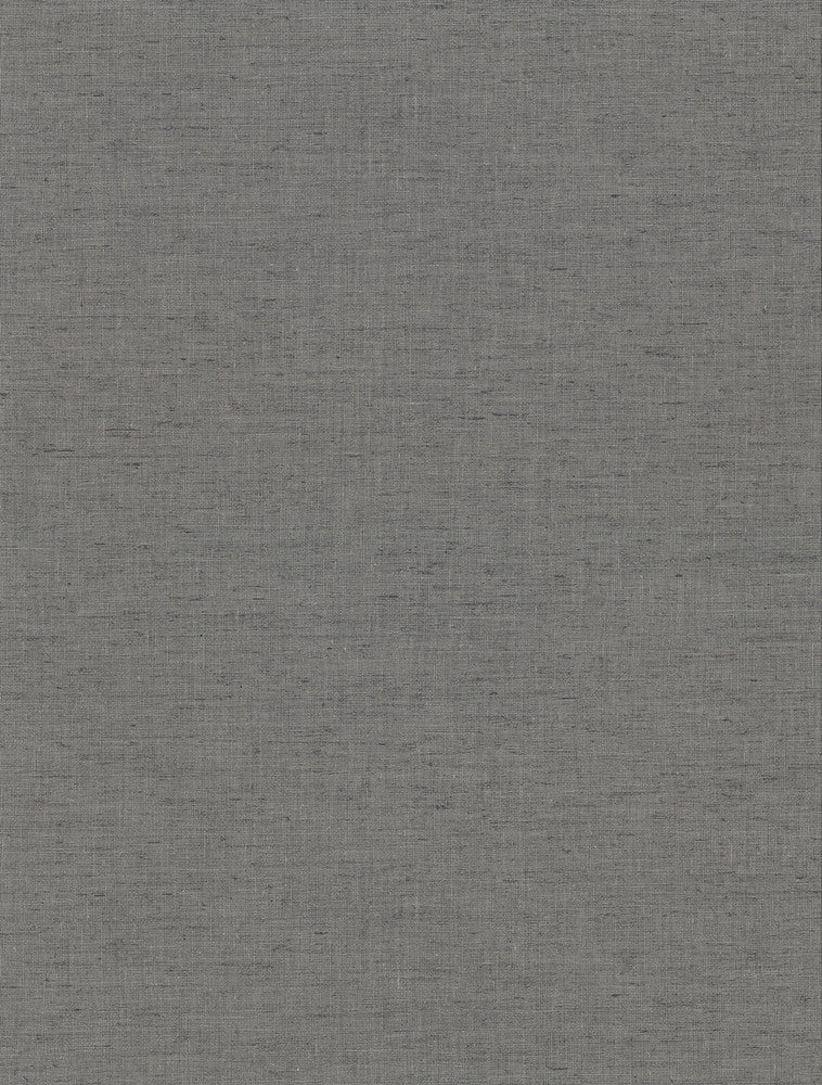 Avatar Pewter Texture Wallpaper by Warner Warner Textures X Covers about 60.8 square feet 27-in by 27-ft long roll Unpasted 0 - Fabric Carolina -