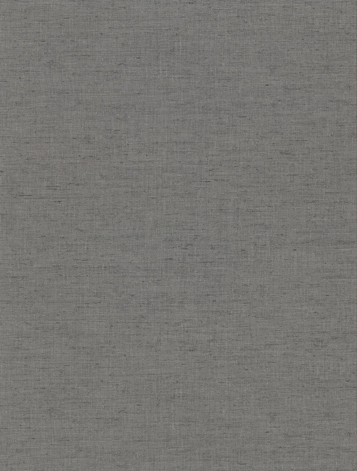 Avatar Pewter Texture Wallpaper by Warner Warner Textures X Covers about 60.8 square feet 27-in by 27-ft long roll Unpasted 0 - Fabric Carolina -