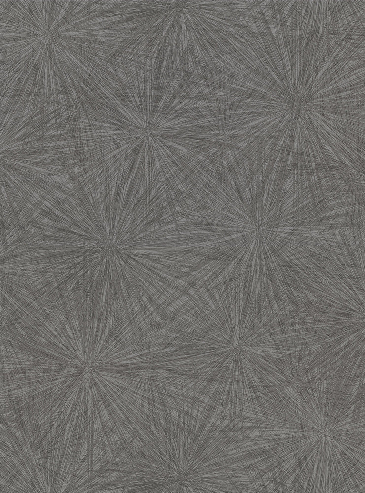 Majestic Black Starburst Wallpaper by Warner Warner Textures X Covers about 60.8 square feet 27-in by 27-ft long roll Unpasted 24 - Fabric Carolina -