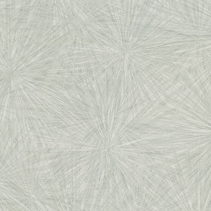 Majestic Light Green Starburst Wallpaper by Warner Warner Textures X Covers about 60.8 square feet 27-in by 27-ft long roll Unpasted 24 - Fabric Carolina -