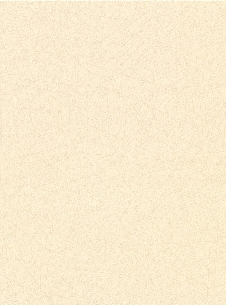 Allover Stix Champagne Geometric Wallpaper by Warner Warner Textures X Covers about 60.8 square feet 27-in by 27-ft long roll Unpasted 0 - Fabric Carolina -