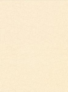 Allover Stix Champagne Geometric Wallpaper by Warner