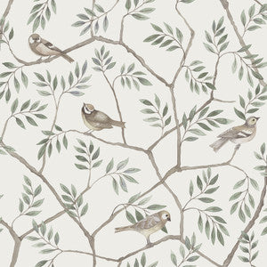 Crossbill Off White Branches Wallpaper by A-Street Prints