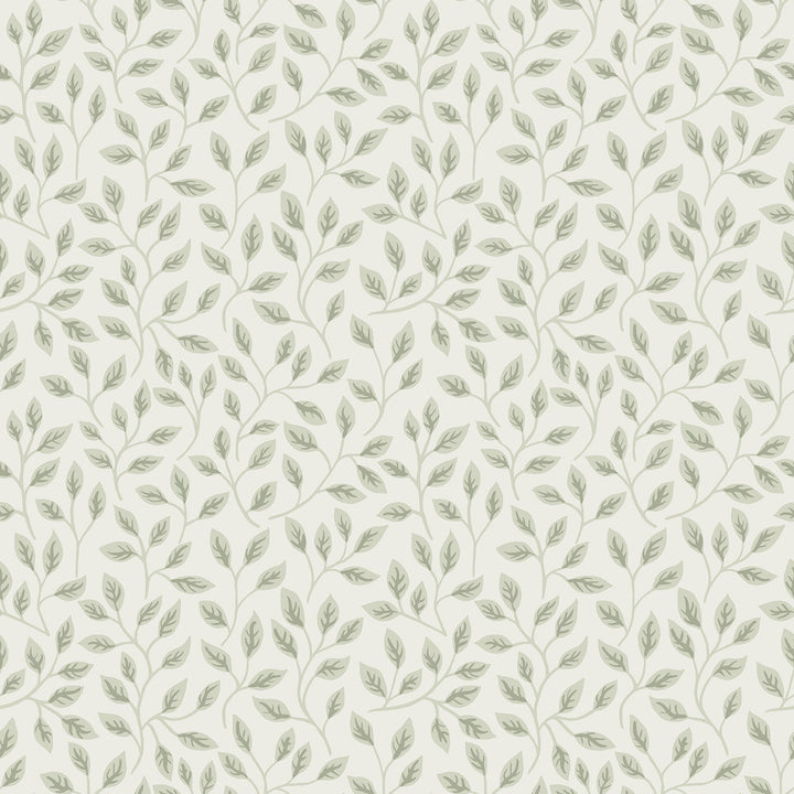 Posey Light Green Vines Wallpaper by A-Street Prints Spring Covers about 56.4 square feet 20.5-in by 33-ft long roll Unpasted 10.4 - Fabric Carolina -