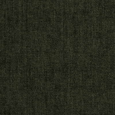 Triumph Charcoal by Kravet Smart Fabric