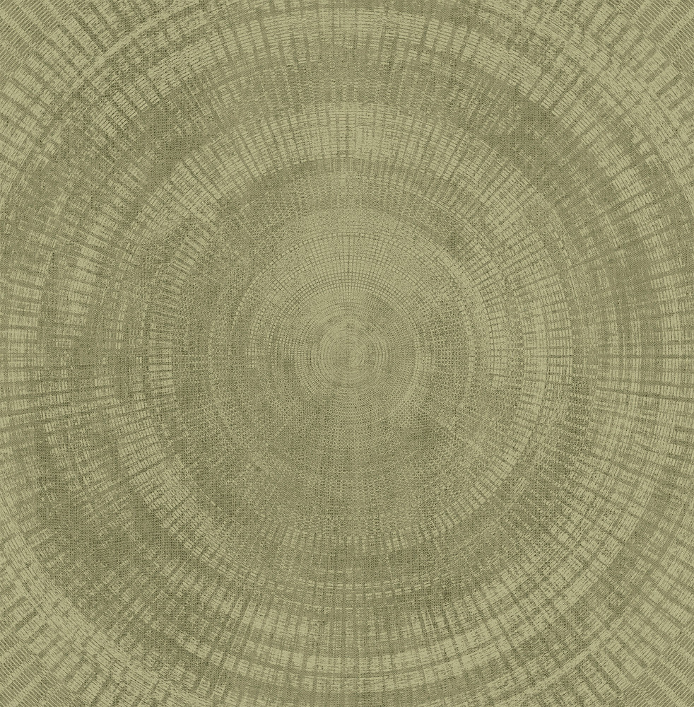 Lalit Olive Medallion Wallpaper by A-Street Prints Imprint Covers about 56.4 square feet 20.5-in by 33-ft long roll Unpasted 20.8 - Fabric Carolina -
