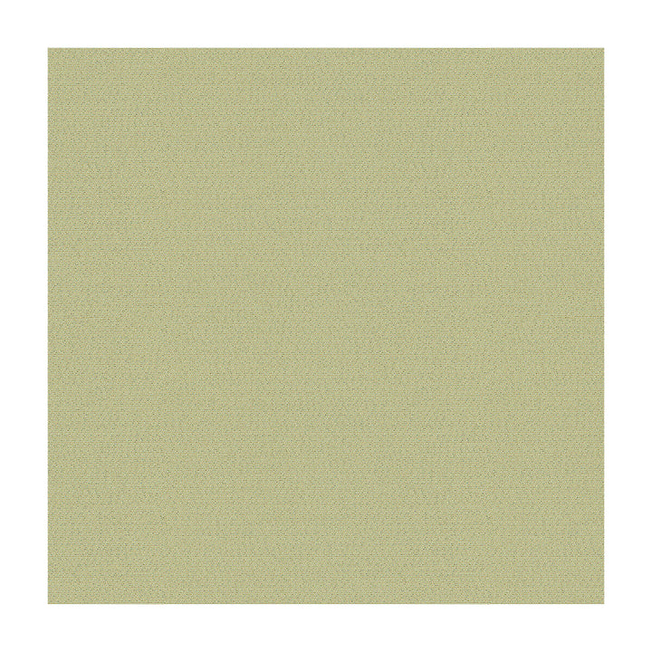 Jet Setter Mineral by Kravet Basics Fabric Kravet Basics Fabric Jet Setter MineralFabric CANDICE OLSON COLLECTION POLYESTER - 100% Turkey </p><p>Repeat: H: 0, V: 0 54 - Fabric Carolina -