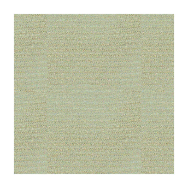 Jet Setter Vapor by Kravet Basics Fabric CANDICE OLSON COLLECTION POLYESTER - 100% Turkey HEAVY Horizontal: 0 and Vertical: 0 54 - Fabric Carolina -