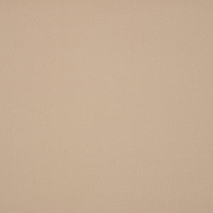 8902 Beige by Sunbrella Fabric