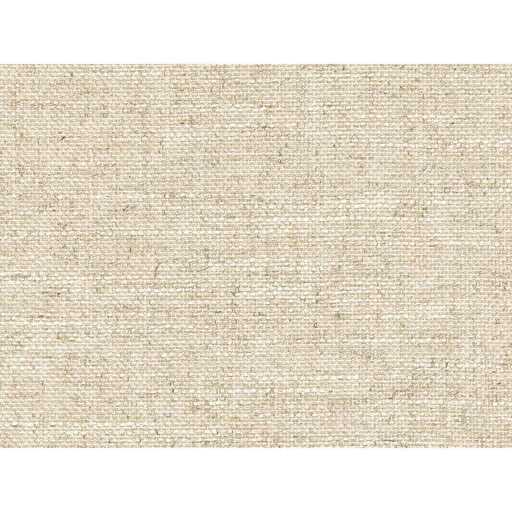 Everyday Lux Oyster by Kravet Couture Designer Fabric MODERN COLORS III VISCOSE - 38%;POLYESTER - 25%;COTTON - 19%;LINEN - 18% Italy HEAVY Horizontal: 0 and Vertical: 0 55 - Swanky Fabrics -