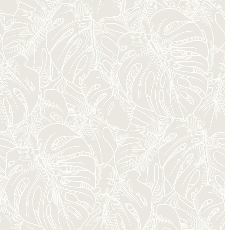 Balboa White Botanical Wallpaper by A-Street Prints Scott Living Covers about 56.4 square feet 20.5-in by 33-ft long roll Unpasted 21.1 - Fabric Carolina -