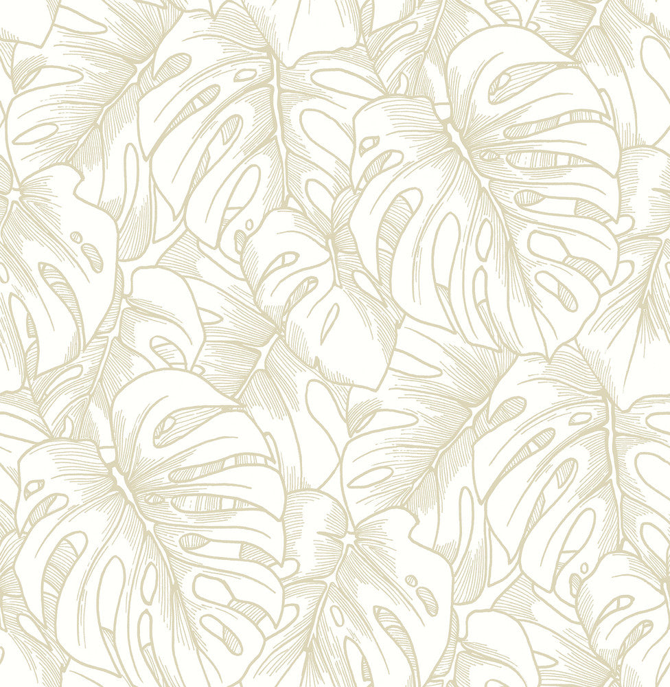 Balboa Gold Botanical Wallpaper by A-Street Prints Scott Living Covers about 56.4 square feet 20.5-in by 33-ft long roll Unpasted 21.1 - Fabric Carolina -