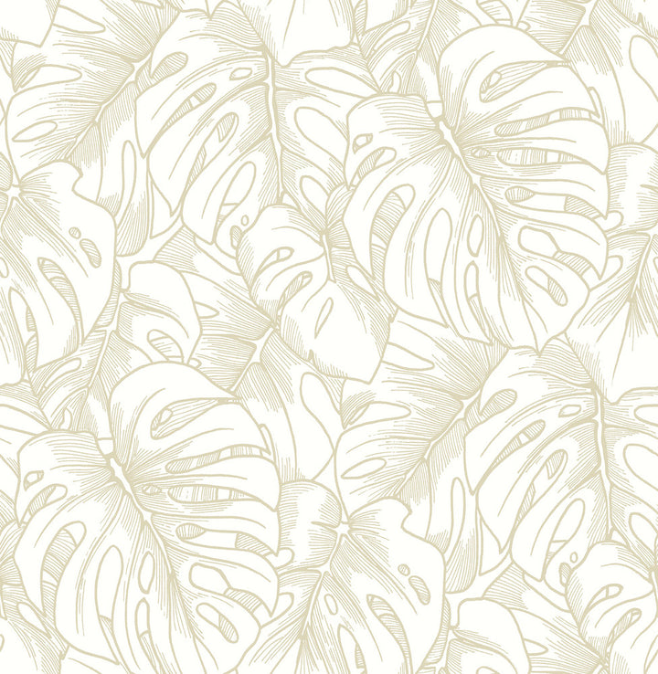 Balboa Gold Botanical Wallpaper by A-Street Prints Scott Living Covers about 56.4 square feet 20.5-in by 33-ft long roll Unpasted 21.1 - Fabric Carolina -