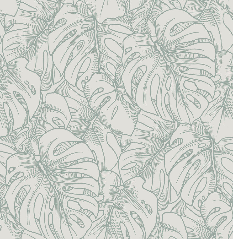 Balboa Olive Botanical Wallpaper by A-Street Prints Scott Living Covers about 56.4 square feet 20.5-in by 33-ft long roll Unpasted 21.1 - Fabric Carolina -