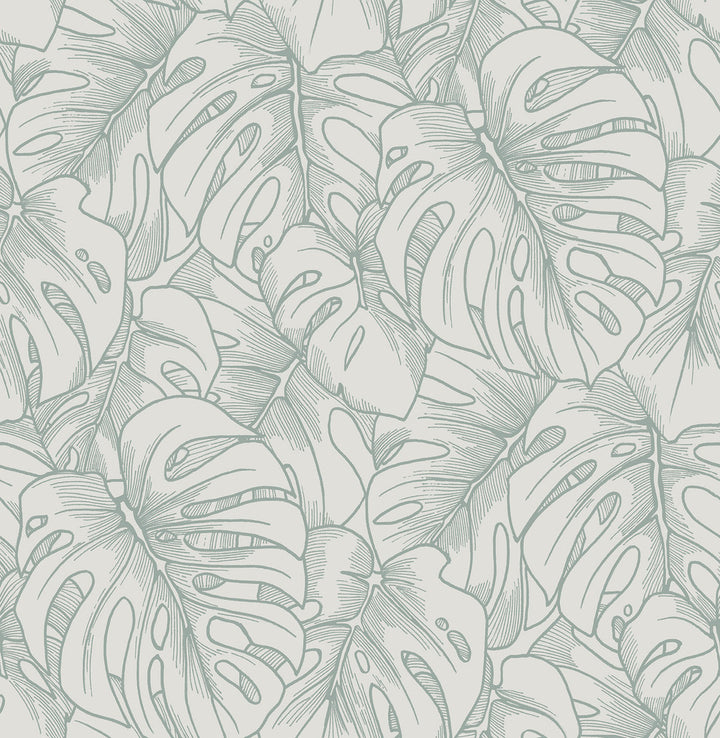Balboa Olive Botanical Wallpaper by A-Street Prints Scott Living Covers about 56.4 square feet 20.5-in by 33-ft long roll Unpasted 21.1 - Fabric Carolina -