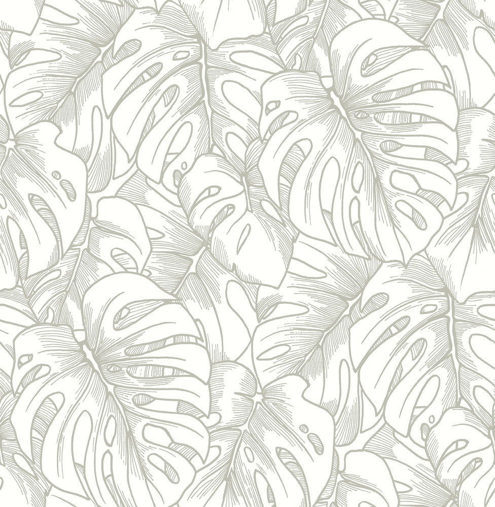 Balboa Silver Botanical Wallpaper by A-Street Prints Scott Living Covers about 56.4 square feet 20.5-in by 33-ft long roll Unpasted 21.1 - Fabric Carolina -