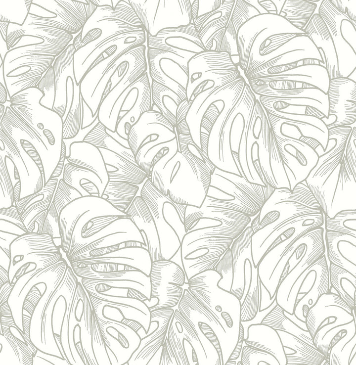 Balboa Silver Botanical Wallpaper by A-Street Prints Scott Living Covers about 56.4 square feet 20.5-in by 33-ft long roll Unpasted 21.1 - Fabric Carolina -