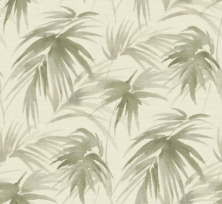 Darlana Sage Grasscloth Wallpaper by A-Street Prints Scott Living Covers about 68 square feet 34-in by 24-ft long roll Unpasted 31.1 - Fabric Carolina -