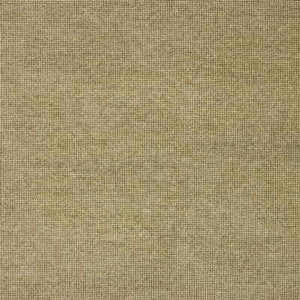 29646-1116 by Kravet Smart Fabric